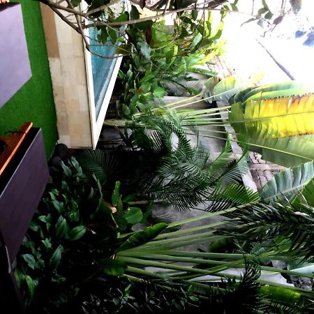 Kubu Kenak Guesthouse Seminyak Exteriör bild