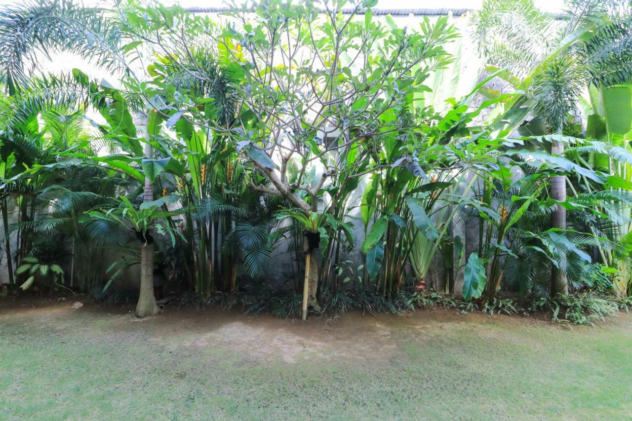 Kubu Kenak Guesthouse Seminyak Exteriör bild